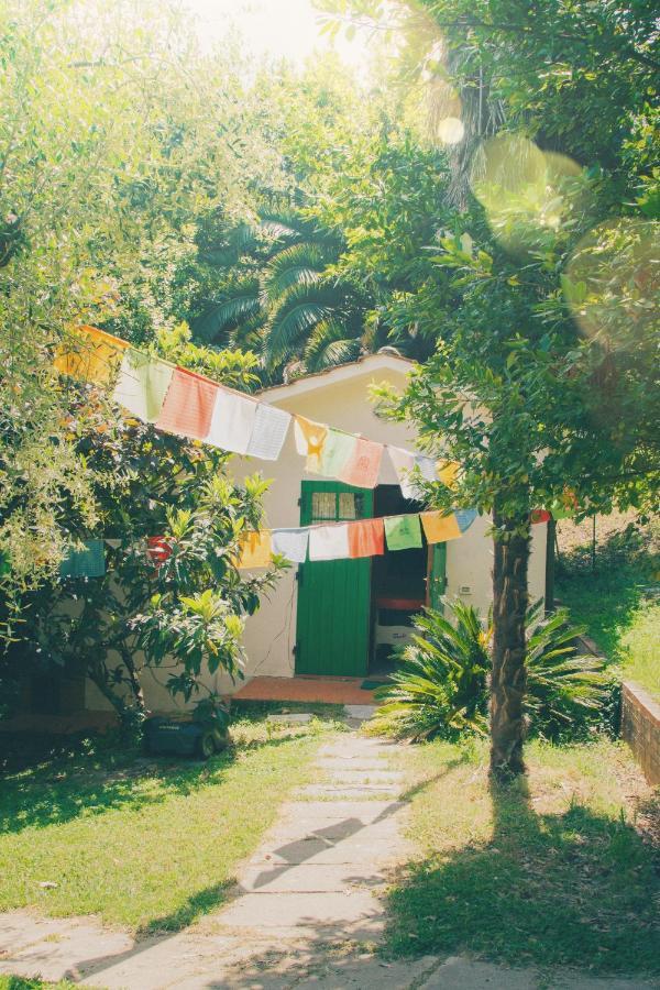 蒙特卡洛Al Gattosaggio住宿加早餐旅馆 外观 照片